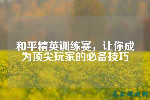 和平精英训练赛,让你成为顶尖玩家的必备技巧