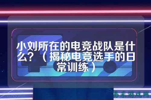 小刘所在的电竞战队是什么？（揭秘电竞选手的日常训练）