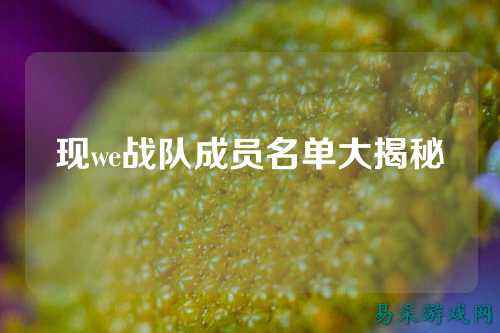 现we战队成员名单大揭秘