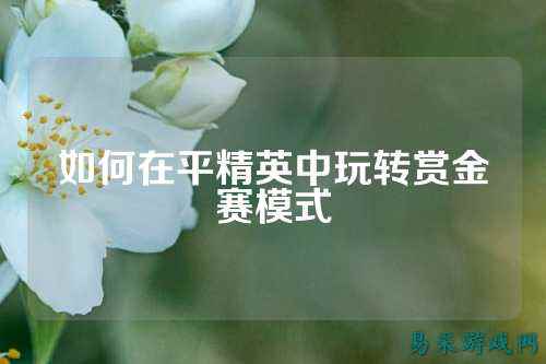 如何在平精英中玩转赏金赛模式