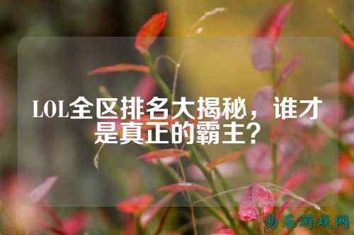 LOL全区排名大揭秘,谁才是真正的霸主?