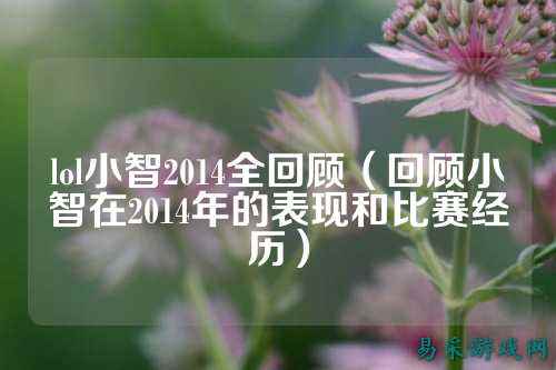 lol小智2014全回顾(回顾小智在2014年的表现和比赛经历)
