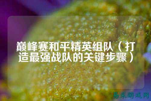 巅峰赛和平精英组队(打造最强战队的关键步骤)