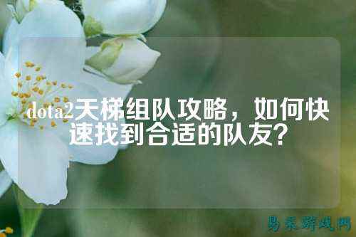 dota2天梯组队攻略,如何快速找到合适的队友?