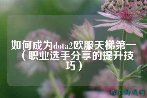如何成为dota2欧服天梯第一(职业选手分享的提升技巧)