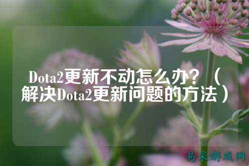 Dota2更新不动怎么办？（解决Dota2更新问题的方法）