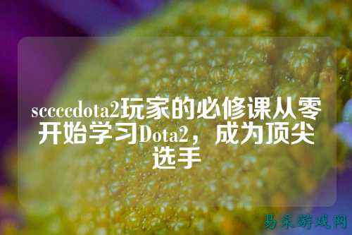 sccccdota2玩家的必修课从零开始学习Dota2,成为顶尖选手