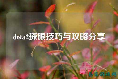 dota2探眼技巧与攻略分享