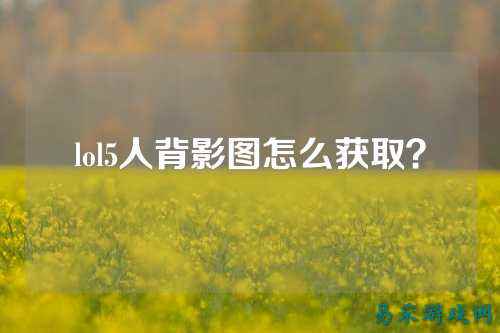 lol5人背影图怎么获取?