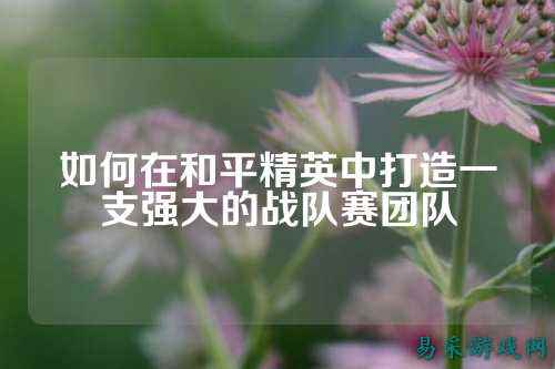 如何在和平精英中打造一支强大的战队赛团队