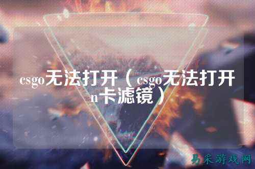 csgo无法打开（csgo无法打开n卡滤镜）