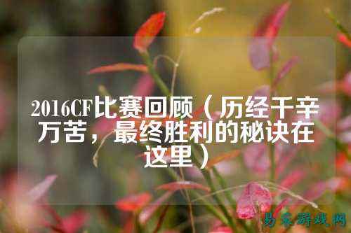2016CF比赛回顾（历经千辛万苦，最终胜利的秘诀在这里）