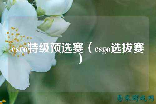 csgo特级预选赛（csgo选拔赛）