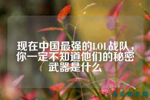 现在中国最强的LOL战队，你一定不知道他们的秘密武器是什么