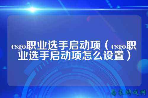 csgo职业选手启动项（csgo职业选手启动项怎么设置）