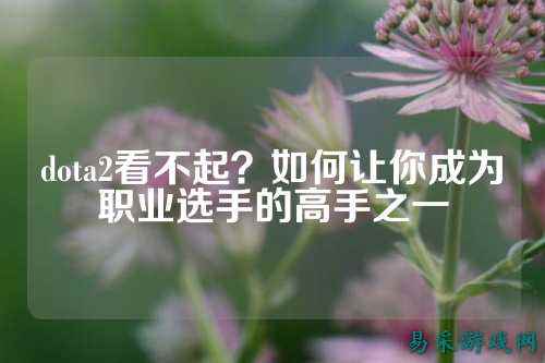 dota2看不起？如何让你成为职业选手的高手之一