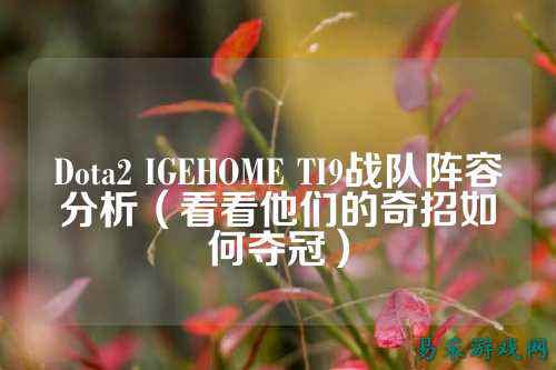 Dota2 IGEHOME TI9战队阵容分析（看看他们的奇招如何夺冠）