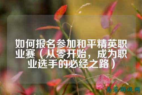 如何报名参加和平精英职业赛(从零开始,成为职业选手的必经之路)