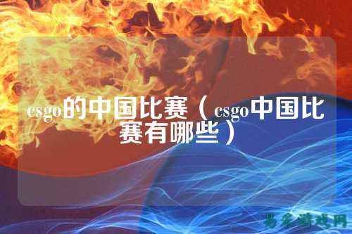 csgo的中国比赛(csgo中国比赛有哪些)