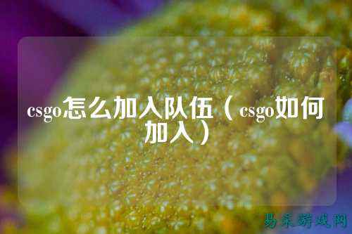 csgo怎么加入队伍(csgo如何加入)