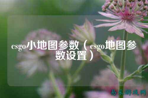 csgo小地图参数(csgo地图参数设置)