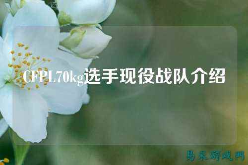 CFPL70kg选手现役战队介绍
