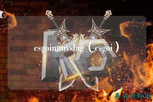 csgoimmvsbig（csgoi）