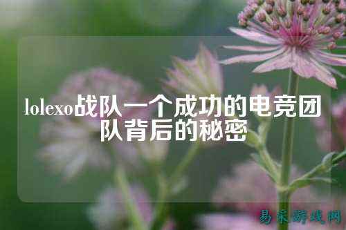 lolexo战队一个成功的电竞团队背后的秘密