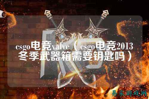 csgo电竞valve(csgo电竞2013冬季武器箱需要钥匙吗)