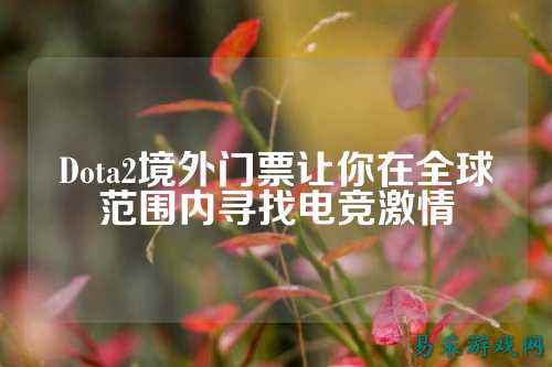 Dota2境外门票让你在全球范围内寻找电竞激情