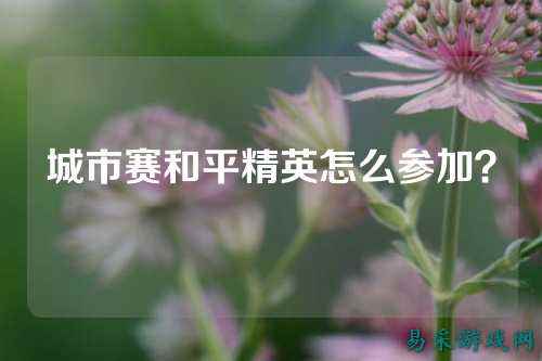 城市赛和平精英怎么参加?