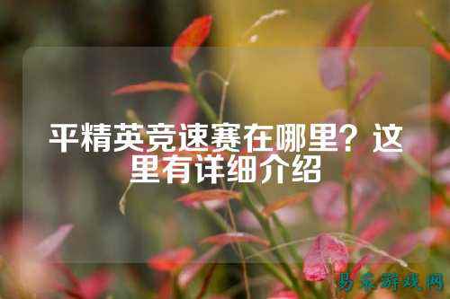平精英竞速赛在哪里?这里有详细介绍