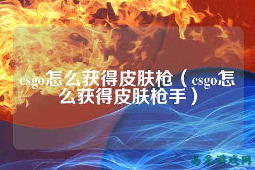csgo怎么获得皮肤枪(csgo怎么获得皮肤枪手)