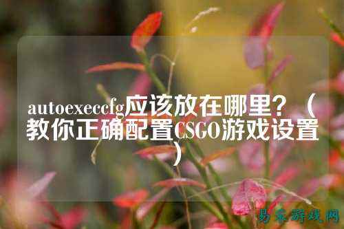 autoexeccfg应该放在哪里?(教你正确配置CSGO游戏设置)