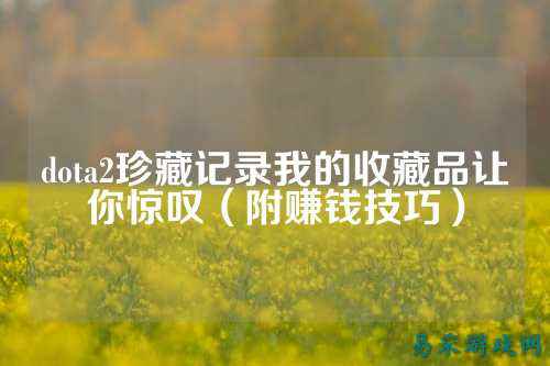 dota2珍藏记录我的收藏品让你惊叹(附赚钱技巧)