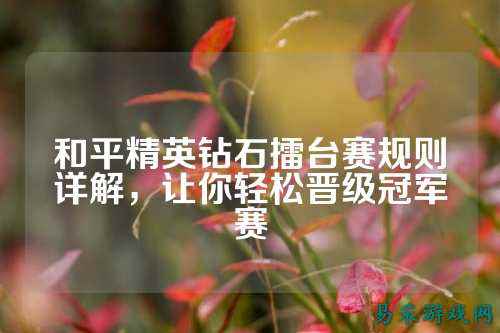 和平精英钻石擂台赛规则详解,让你轻松晋级冠军赛