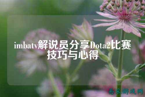 imbatv解说员分享Dota2比赛技巧与心得