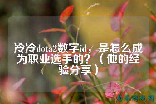 冷冷dota2数字id,是怎么成为职业选手的?(他的经验分享)
