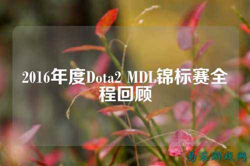 2016年度Dota2 MDL锦标赛全程回顾