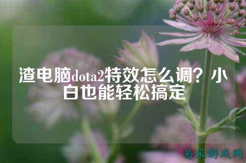 渣电脑dota2特效怎么调?小白也能轻松搞定