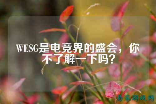 WESG是电竞界的盛会,你不了解一下吗?