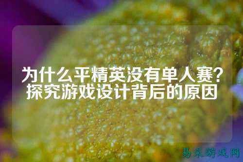 为什么平精英没有单人赛?探究游戏设计背后的原因
