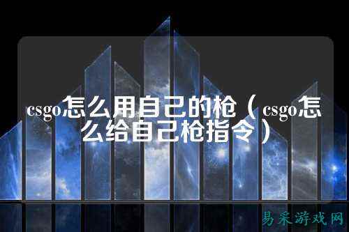 csgo怎么用自己的枪(csgo怎么给自己枪指令)