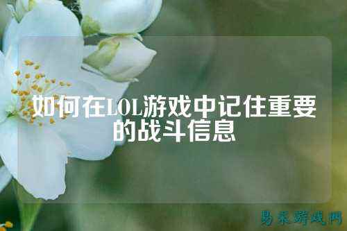 如何在LOL游戏中记住重要的战斗信息