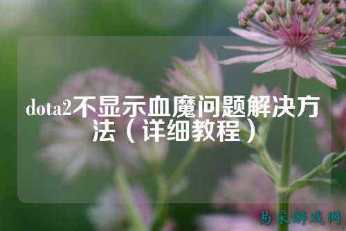 dota2不显示血魔问题解决方法(详细教程)
