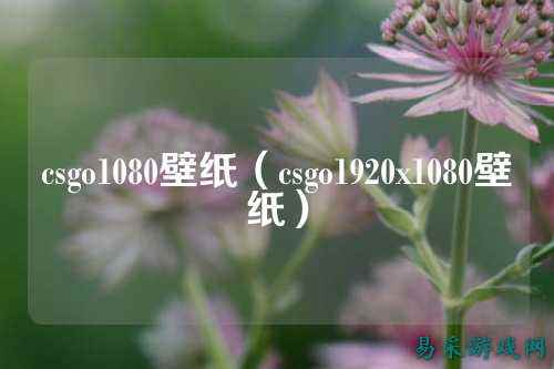 csgo1080壁纸(csgo1920x1080壁纸)