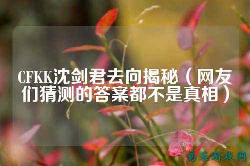 CFKK沈剑君去向揭秘(网友们猜测的答案都不是真相)