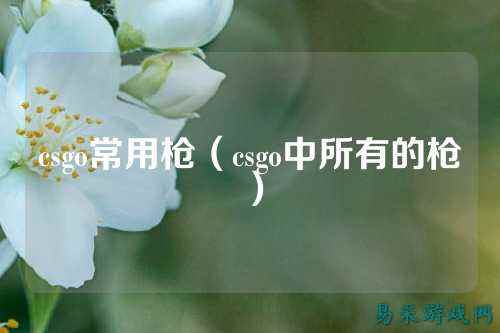 csgo常用枪(csgo中所有的枪)