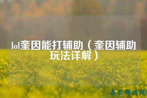 lol奎因能打辅助(奎因辅助玩法详解)