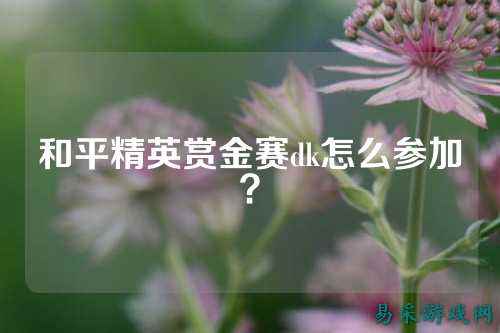 和平精英赏金赛dk怎么参加?